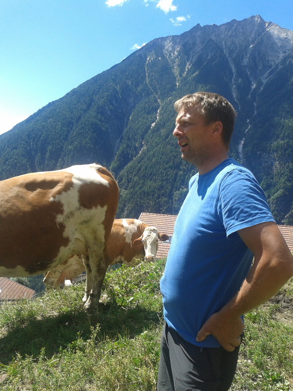 Thomas Zimmerhofer assieme alle sue mucche