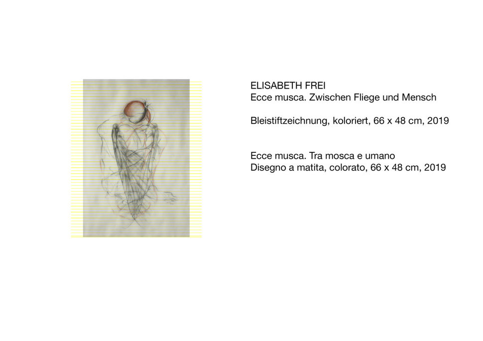 Bild 13 Bild 13