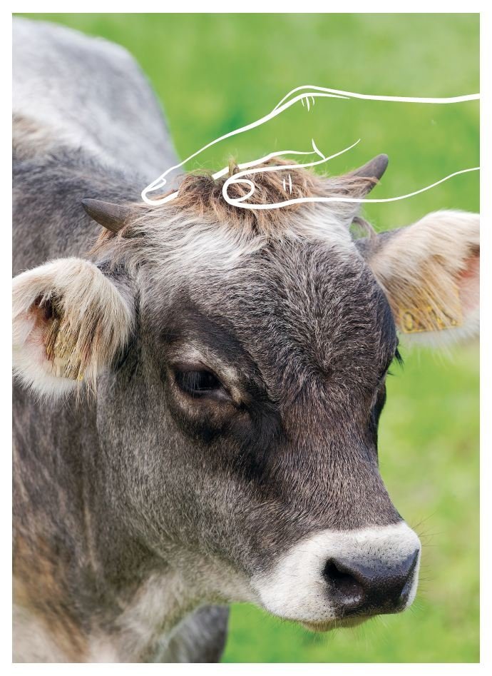 Wissen wofür. Zukunft der Landwirtschaft