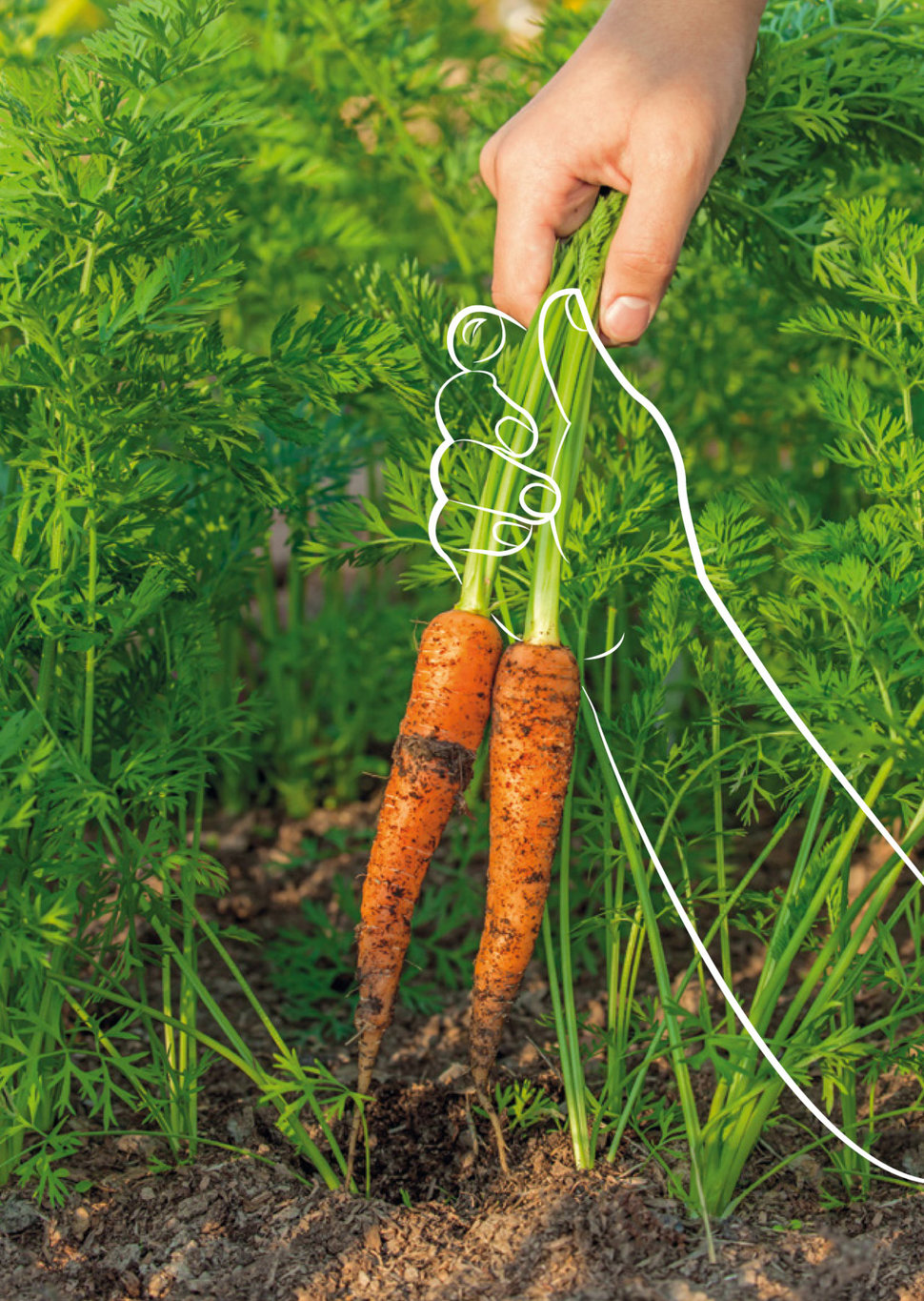 Wissen wofür. Umweltverträgliche Landwirtschaft.