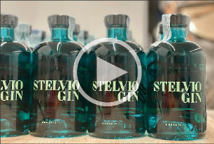 Bio Gin Stelvio