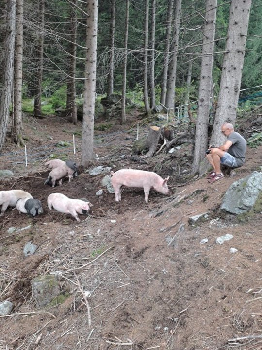 Filmarbeiten im Wald Filmarbeiten im Wald