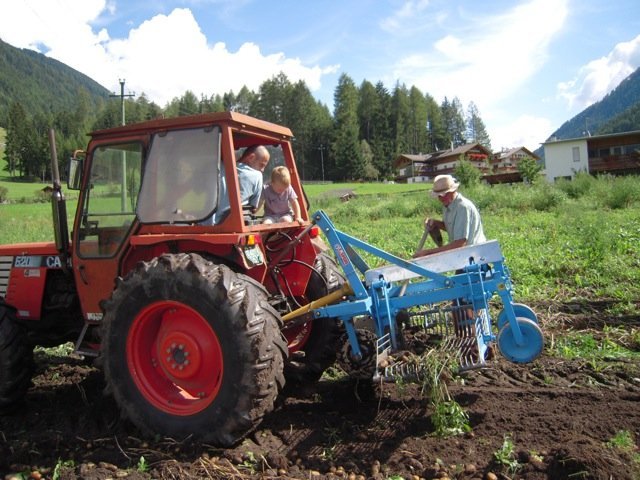 Drei Generationen arbeiten gemeinsam am Hof - Kartoffelernte