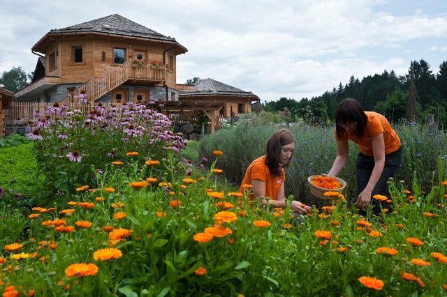 Bergila in Pfalzen - Latschenölbrennerei und Kräutergarten seit 100 Jahren