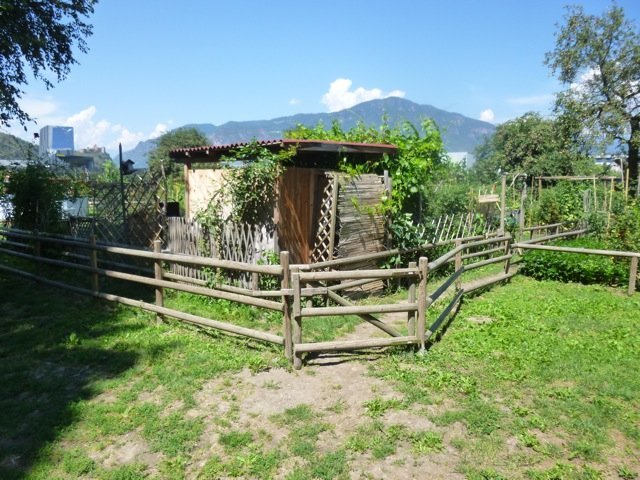 Schrebergärten vor den Toren von Bozen