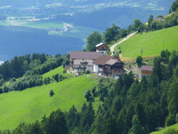 Niedristhof mit Photovoltaikanlage 