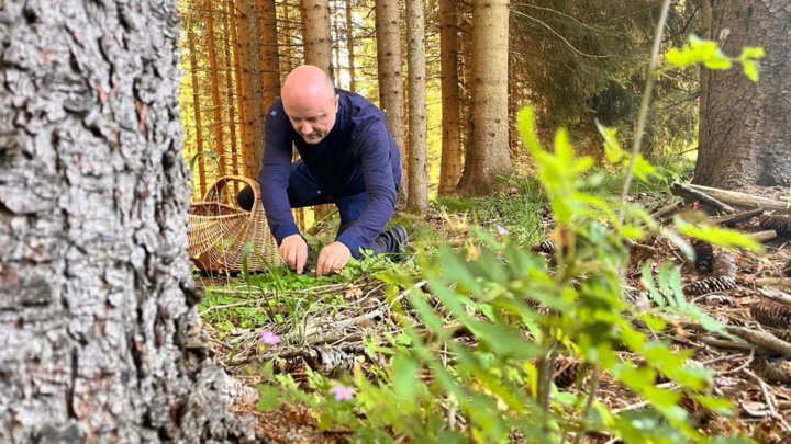 Heinrich beim Kräutersammeln