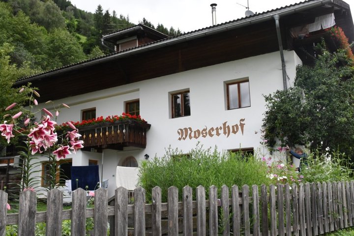 Moserhof in Steinhaus