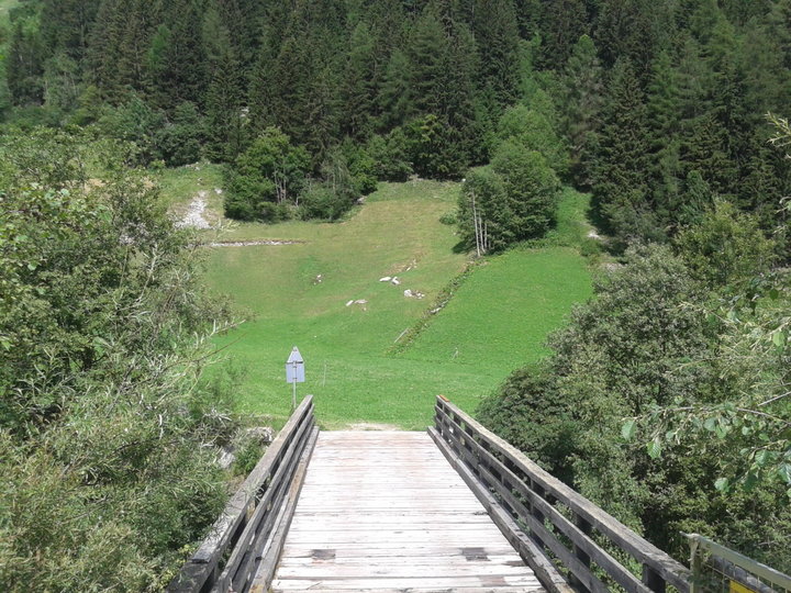 Die Anfahrt zur Wiese "Unterhölderle"