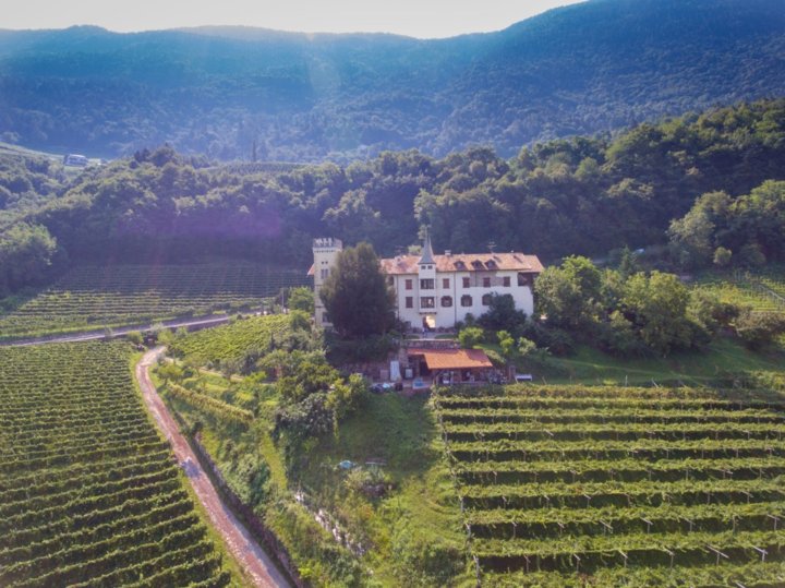 tenuta Dornach oberhalb von Salurn