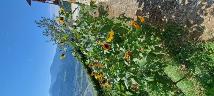 Das Weingut Das Weingut