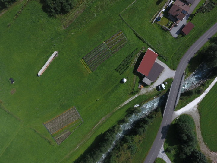 Botenhof von oben