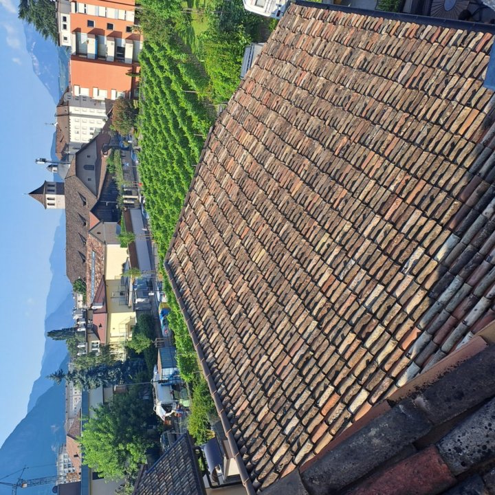 Das Weingut