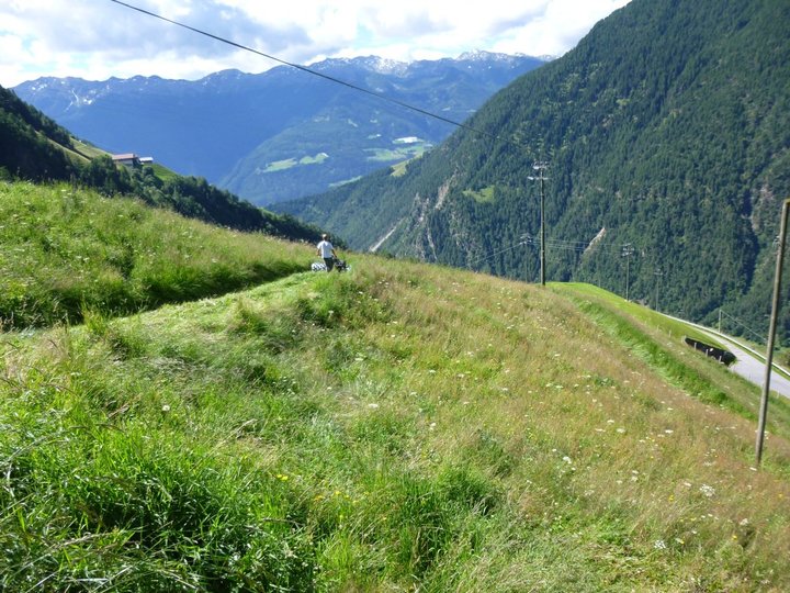 mühsame Arbeit in Steillagen auf 1.500 m 