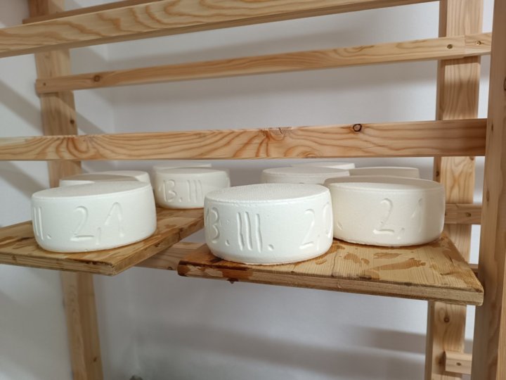 Käse