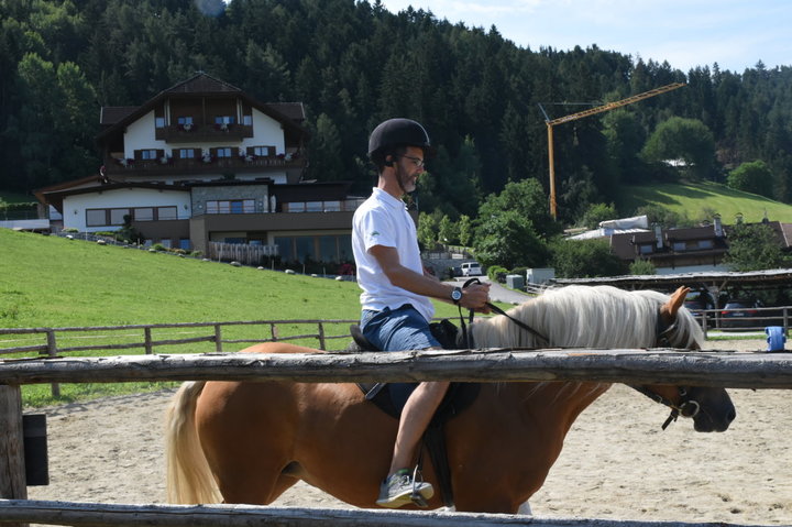 Zu Besuch bei den Pferden 