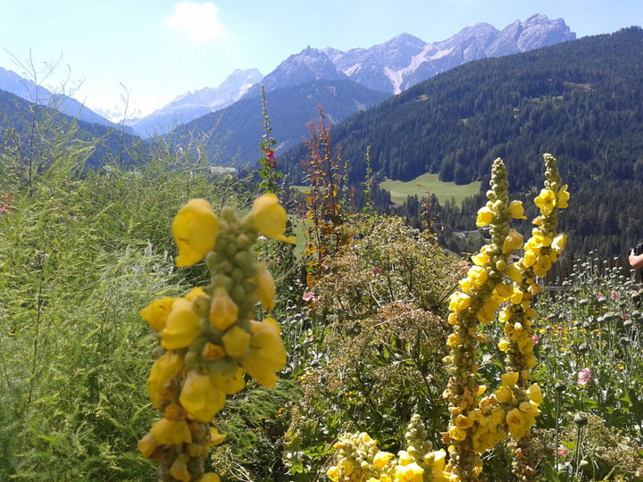 Hof mit Panoramablick