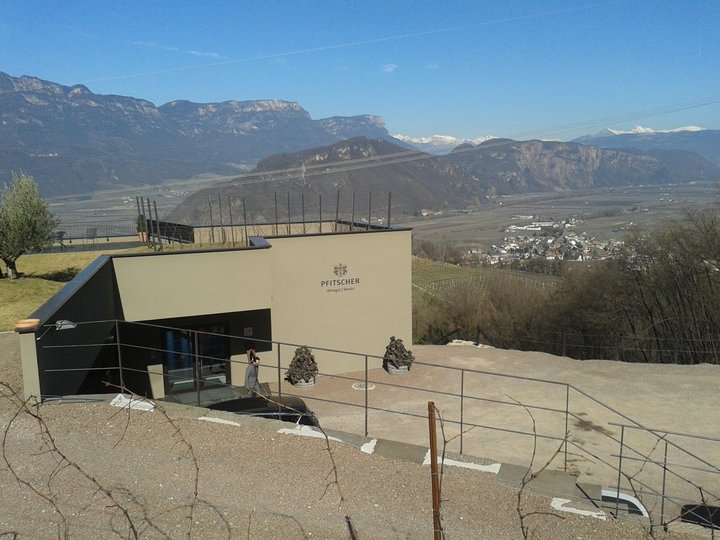 Weinkellerei Pfitscher in Montan
