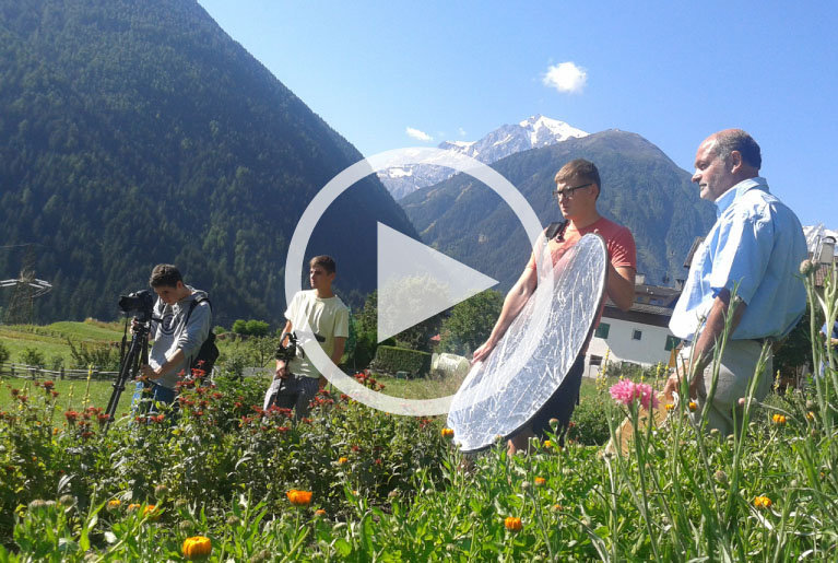 Stilfser Bergkräuter - Kräutergarten im Nationalpark Stilfserjoch