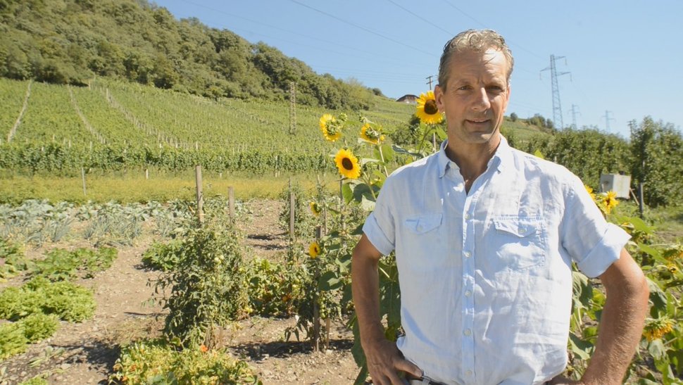 Josef Unterfrauner und sein Gemüsegarten