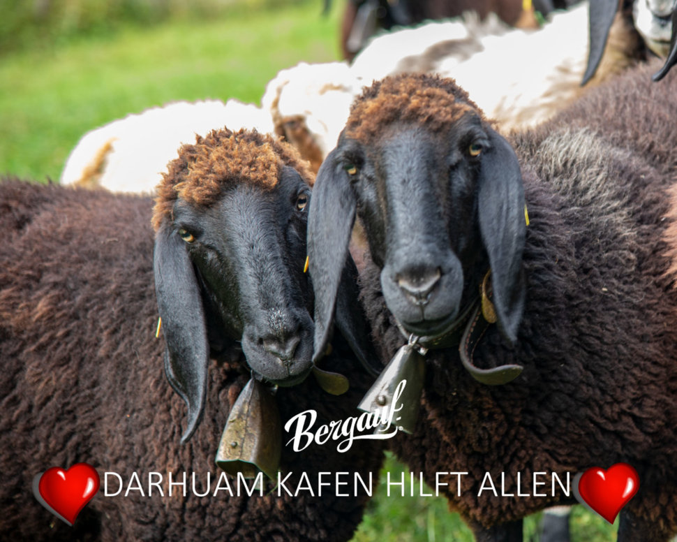 Bergauf - dahuam kafn hilft allen