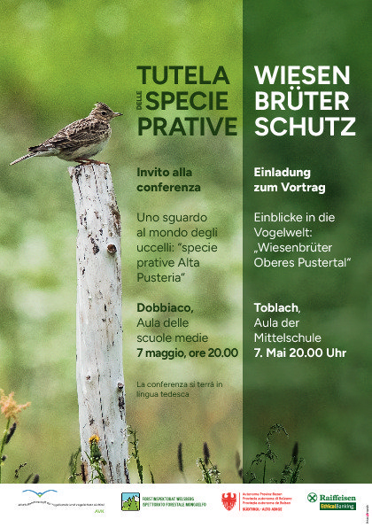 Wiesenbrüerschutz