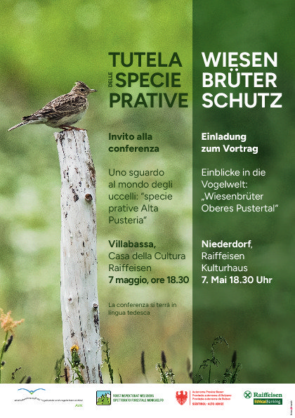 Wiesenbrüterschutz