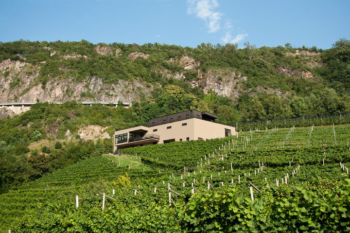 Weingut Pfitscher - Montan Weingut Pfitscher - Montan