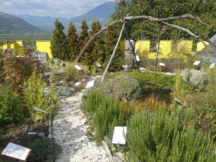 Der "Liebesgarten" Der "Liebesgarten"