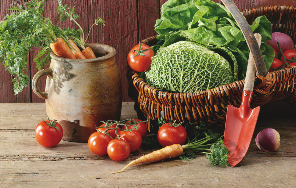 "Agricoltura biologica" con Ethical Banking delle Cassa Raiffeisen dell'Alto Adige "Agricoltura biologica" con Ethical Banking delle Cassa Raiffeisen dell'Alto Adige