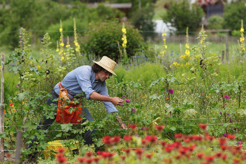passione per le piante e per il lavoro in mezzo alla natura