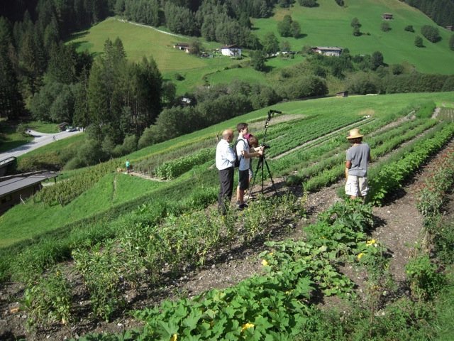 I campi dei giardini aromatici Wipptal a Fleres 