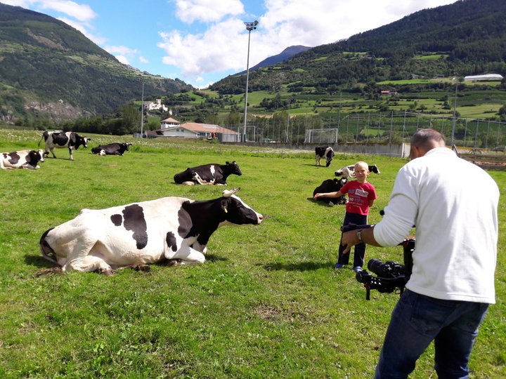 Riprese