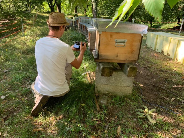 Thomas bei seinen Bienenstöcken Thomas bei seinen Bienenstöcken