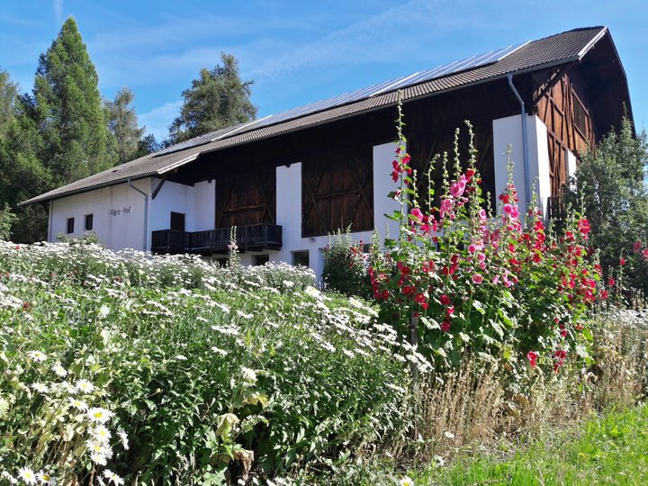 Willelehof Willelehof