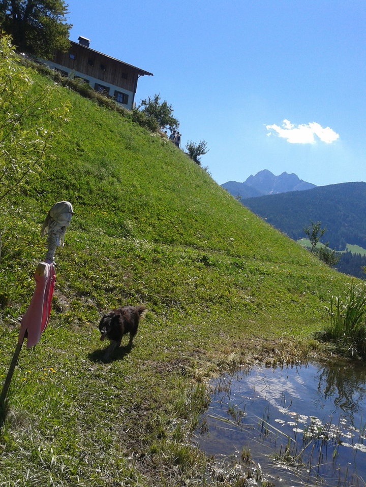 Vista dal biotopo verso il maso