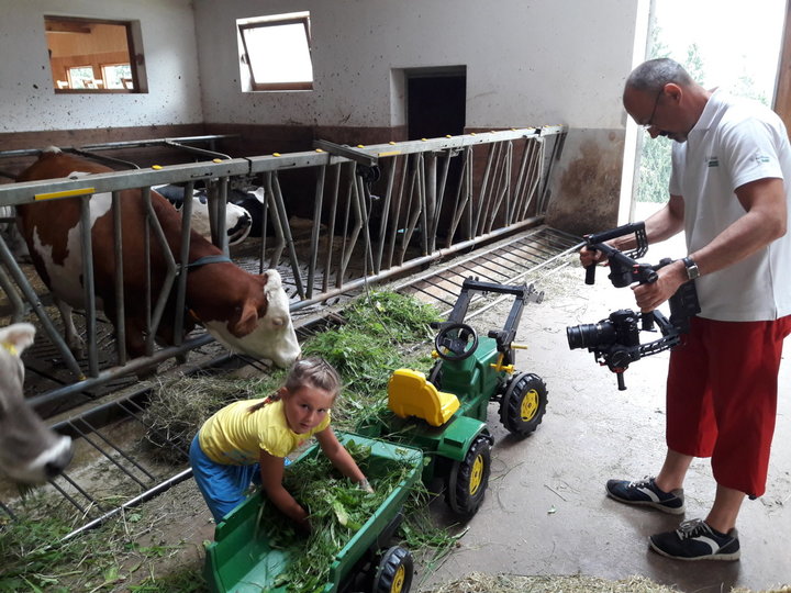 alimentazione del mattino alimentazione del mattino