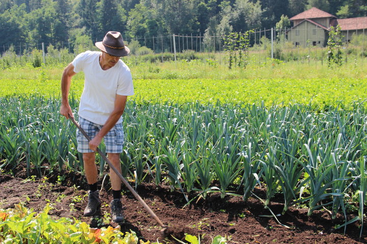 lavoro sul campo