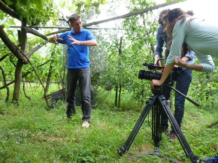 la troupe al lavoro 