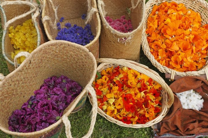 Varietà di fiori 