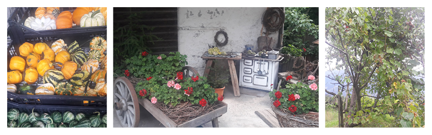 azienda Bioland azienda Bioland