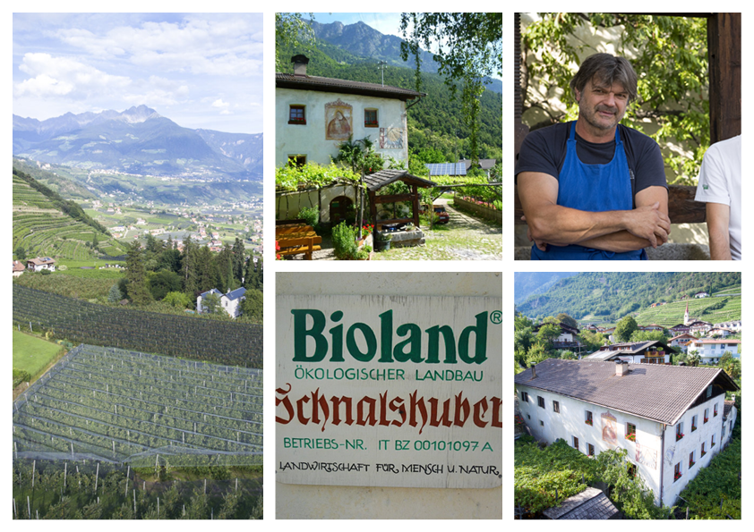 Schnalshuberhof 