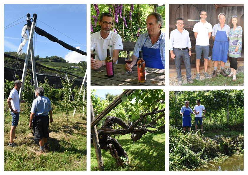 esperti di vino tra di loro esperti di vino tra di loro
