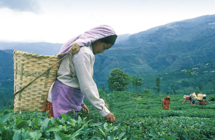 "Fair Trade" with Ethical Banking "Fair Trade" with Ethical Banking