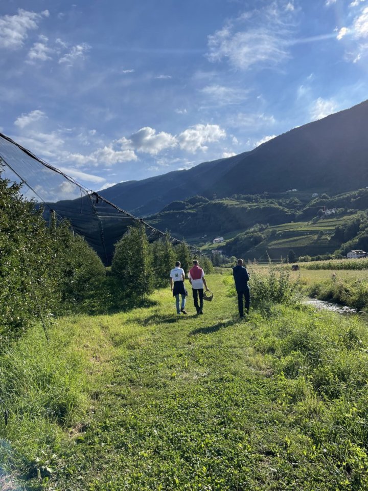 Weinverkostung im Keller